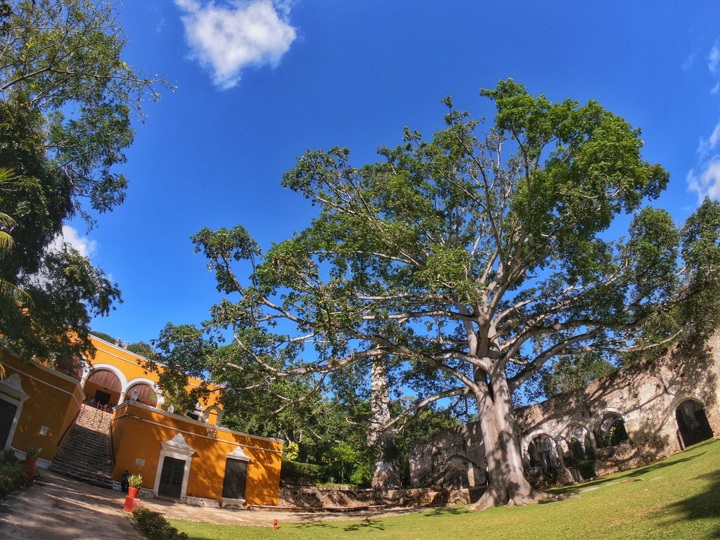 Campeche and its many hidden haciendas