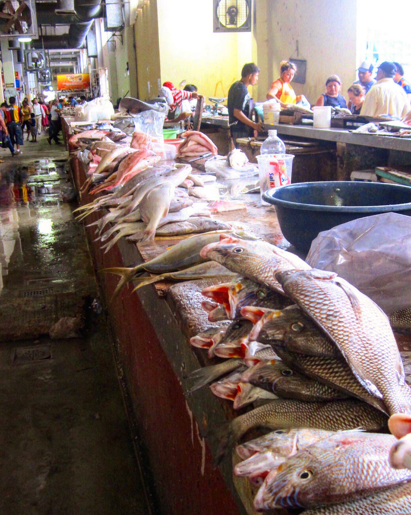 Something Smells Fishy: Walking Through The Open Fish Market In Mexico